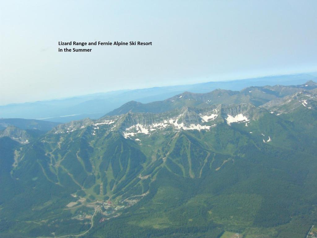 Twisted Timber Fernie
