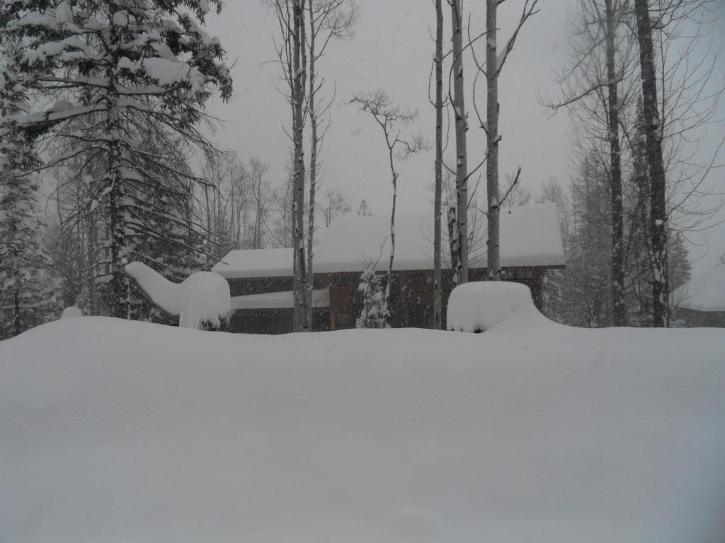 Twisted Timber Bed & Breakfast