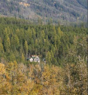 Elk View
